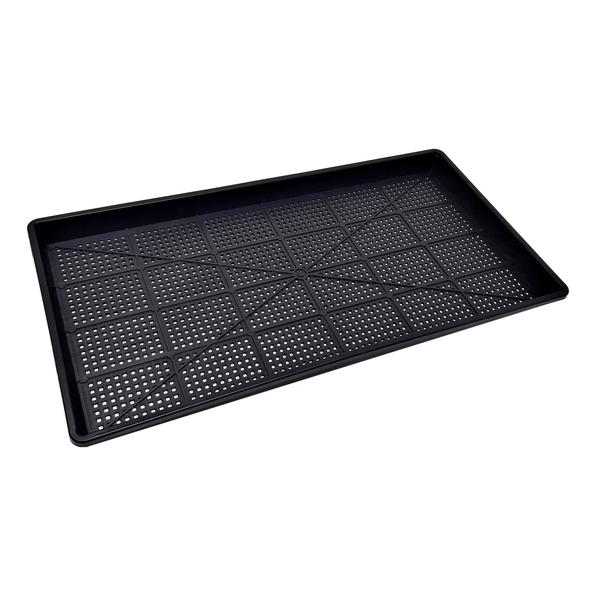 Shallow Microgreen Tray With Mesh Holes 10x20